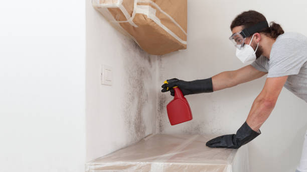 Professional Mold Removal technician working in Shelbyville, IL